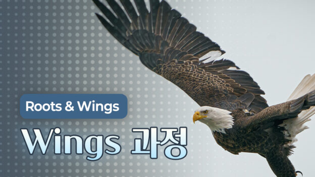Wings(알레) 과정